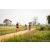 Team 336 / Raid Amazones Sri Lanka 2022 - J3 Run & Bike