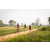 Team 60 / Raid Amazones Sri Lanka 2022 - J3 Run & Bike