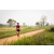 Team 58 / Raid Amazones Sri Lanka 2022 - J3 Run & Bike