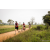Team 313 / Raid Amazones Sri Lanka 2022 - J3 Run & Bike