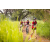 Team 306 / Raid Amazones Sri Lanka 2022 - J3 Run & Bike