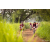 Team 310 / Raid Amazones Sri Lanka 2022 - J3 Run & Bike