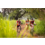 Team 319 / Raid Amazones Sri Lanka 2022 - J3 Run & Bike