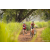 Team 33 / Raid Amazones Sri Lanka 2022 - J3 Run & Bike