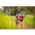 Team 48 / Raid Amazones Sri Lanka 2022 - J3 Run & Bike