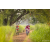 Team 93 / Raid Amazones Sri Lanka 2022 - J3 Run & Bike