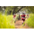 Team 34 / Raid Amazones Sri Lanka 2022 - J3 Run & Bike