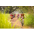 Team 67 / Raid Amazones Sri Lanka 2022 - J3 Run & Bike