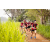 Team 71 / Raid Amazones Sri Lanka 2022 - J3 Run & Bike
