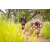 Raid Amazones Sri Lanka 2022 - J3 Run & Bike