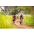 Team 21 / Raid Amazones Sri Lanka 2022 - J3 Run & Bike