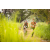 Team 42 / Raid Amazones Sri Lanka 2022 - J3 Run & Bike