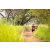 Team 17 / Raid Amazones Sri Lanka 2022 - J3 Run & Bike