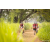 Team 17 / Raid Amazones Sri Lanka 2022 - J3 Run & Bike