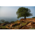 Raid Amazones Sri Lanka 2022 - J4 Chasse au Tresor