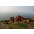 Raid Amazones Sri Lanka 2022 - J4 Chasse au Tresor