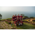 Raid Amazones Sri Lanka 2022 - J4 Chasse au Tresor