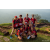 Raid Amazones Sri Lanka 2022 - J4 Chasse au Tresor