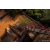 Raid Amazones Sri Lanka 2022 - J4 Chasse au Tresor