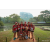 Raid Amazones Sri Lanka 2022 - J4 Chasse au Tresor