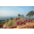 Raid Amazones Sri Lanka 2022 - J4 Chasse au Tresor