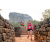 Raid Amazones Sri Lanka 2022 - J4 Chasse au Tresor