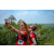 Raid Amazones Sri Lanka 2022 - J4 Chasse au Tresor