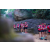 Raid Amazones Sri Lanka 2022 - J4 Chasse au Tresor