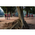 Raid Amazones Sri Lanka 2022 - J4 Chasse au Tresor