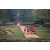 Raid Amazones Sri Lanka 2022 - J4 Chasse au Tresor