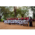 Raid Amazones Sri Lanka 2022 - Ambiance