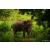 Raid Amazones Sri Lanka 2022 - Ambiance