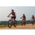 Team 312 / Raid Amazones Sri Lanka 2022 - J5 VTT
