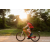 Team 67 / Raid Amazones Sri Lanka 2022 - J5 VTT