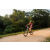 Team 306 / Raid Amazones Sri Lanka 2022 - J5 VTT