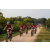 Team 45 / Raid Amazones Sri Lanka 2022 - J5 VTT