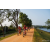 Team 01 / Raid Amazones Sri Lanka 2022 - J5 VTT