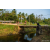 Team 53 / Raid Amazones Sri Lanka 2022 - J5 VTT