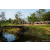 Raid Amazones Sri Lanka 2022 - J5 VTT