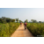 Team 74 / Raid Amazones Sri Lanka 2022 - J5 VTT