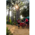 Team 48 / Raid Amazones Sri Lanka 2022 - J5 VTT