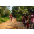 Team 39 / Raid Amazones Sri Lanka 2022 - J5 VTT