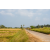 Team 340 / Raid Amazones Sri Lanka 2022 - J5 VTT