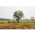 Team 340 / Raid Amazones Sri Lanka 2022 - J5 VTT