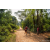 Team 307 / Raid Amazones Sri Lanka 2022 - J5 VTT