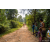 Team 39 / Raid Amazones Sri Lanka 2022 - J5 VTT