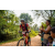 Team 93 / Raid Amazones Sri Lanka 2022 - J5 VTT