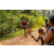 Team 93 / Raid Amazones Sri Lanka 2022 - J5 VTT