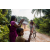 Team 313 / Raid Amazones Sri Lanka 2022 - J5 VTT