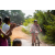 Team 08 / Raid Amazones Sri Lanka 2022 - J5 VTT